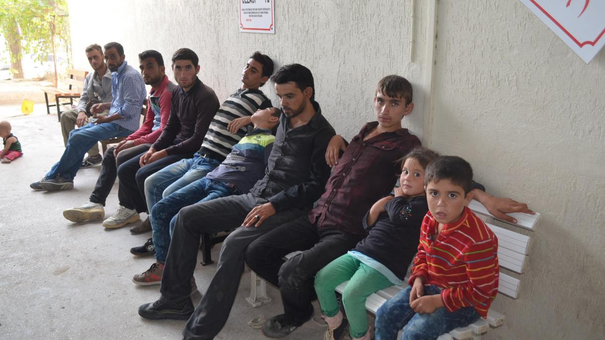 14 مهاجر قاچاق دیگر در مرز مشترک ترکیه و سوریه دستگیر شدند
