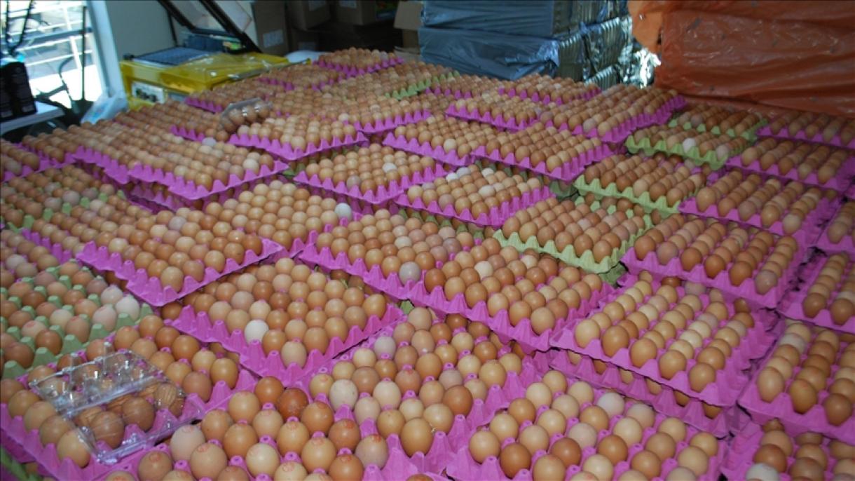 Rusia importó 1,5 millones de huevos de Türkiye