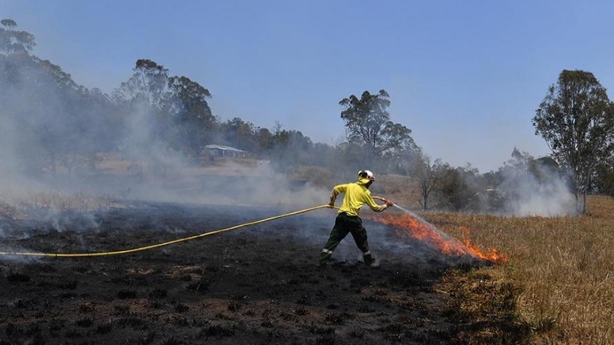 استرالیا با آتش‌سوزی‌های جنگلی دست و پنجه نرم می‌کند