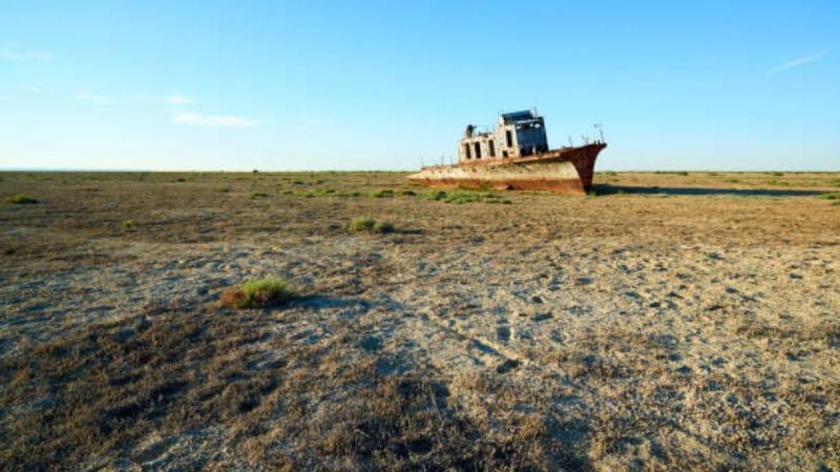 Dənizin qurumuş dibində meşə massivi salınacaq