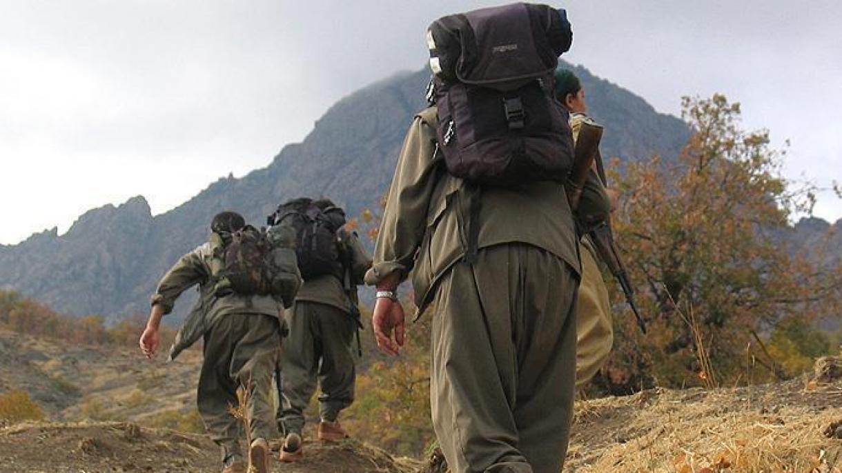 PKK-лық 5 террорист қауіпсіздік күштеріне берілді