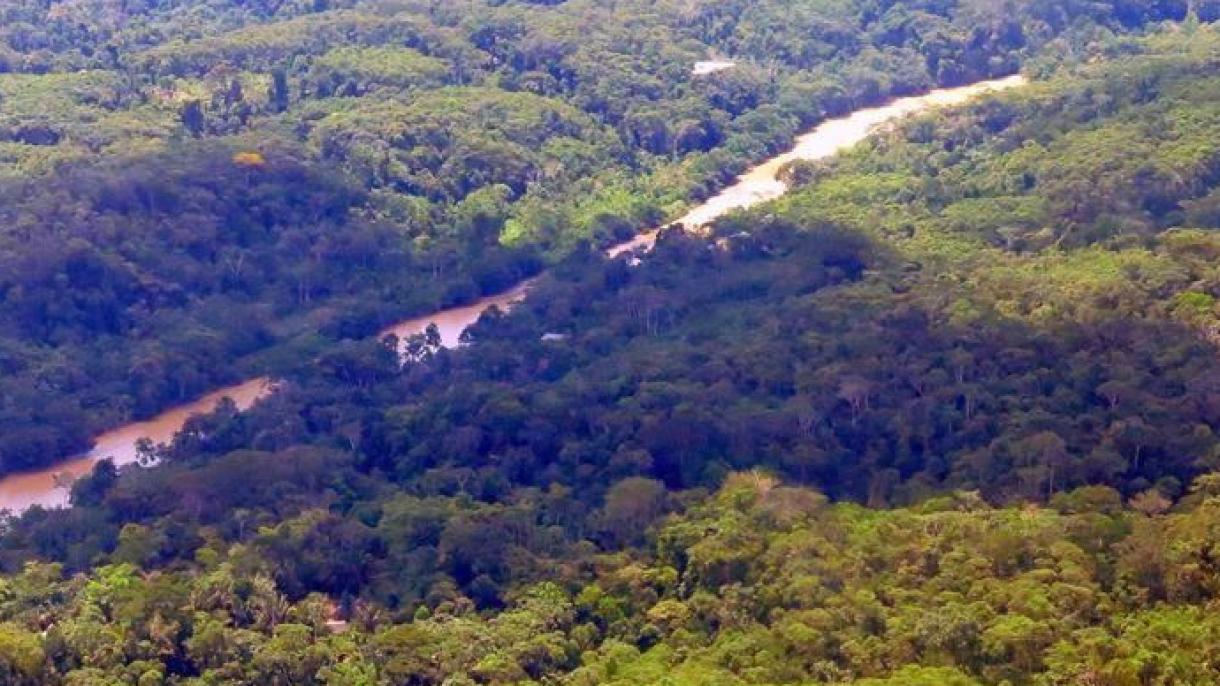 La deforestación en la Amazonía vuelve a cifras de hace 12 años