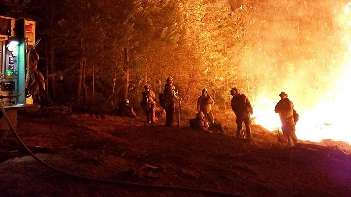 美国加州森林大火死亡人数升至81人
