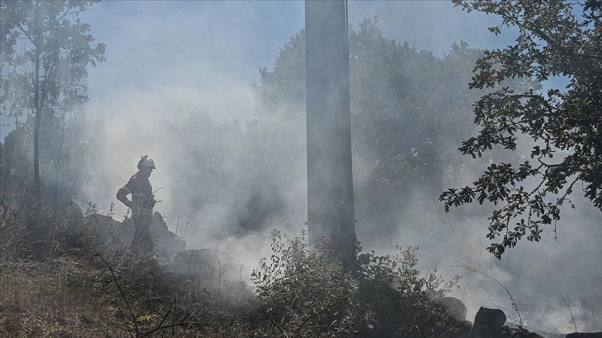 Siguen los incendios forestales en Portugal