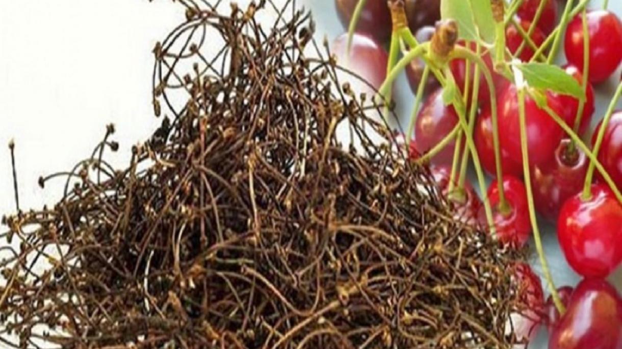 El tallo de cereza seca es una planta de curación de uso frecuente en la medicina tradicional