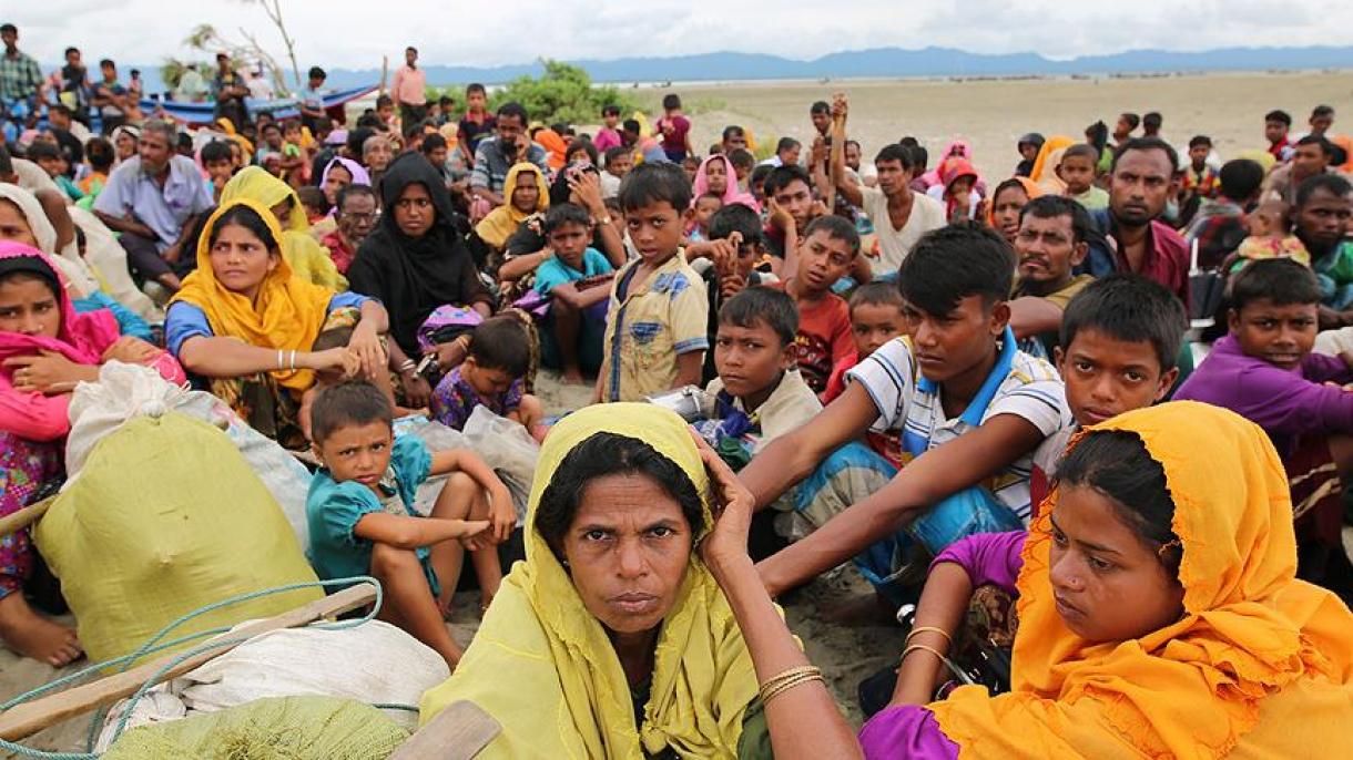 缅甸政府只允许374名若开邦穆斯林返乡