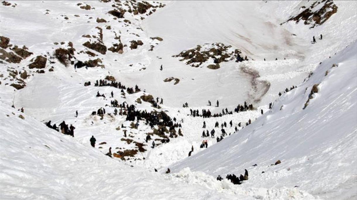 هشت کوهنورد ایرانی در اثر سقوط بهمن جان باختند
