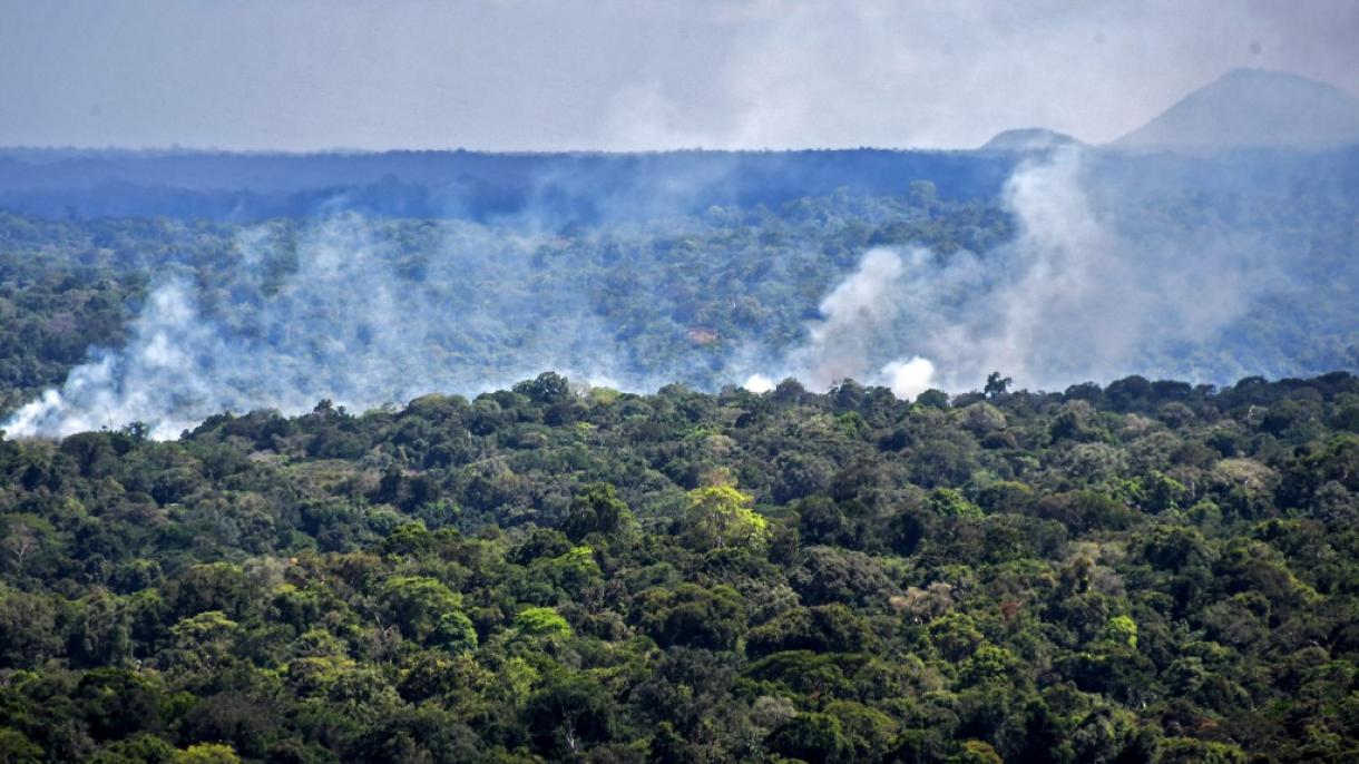 Junio fue el mes con el máximo número de incendios de los últimos 14 años en la Amazonía