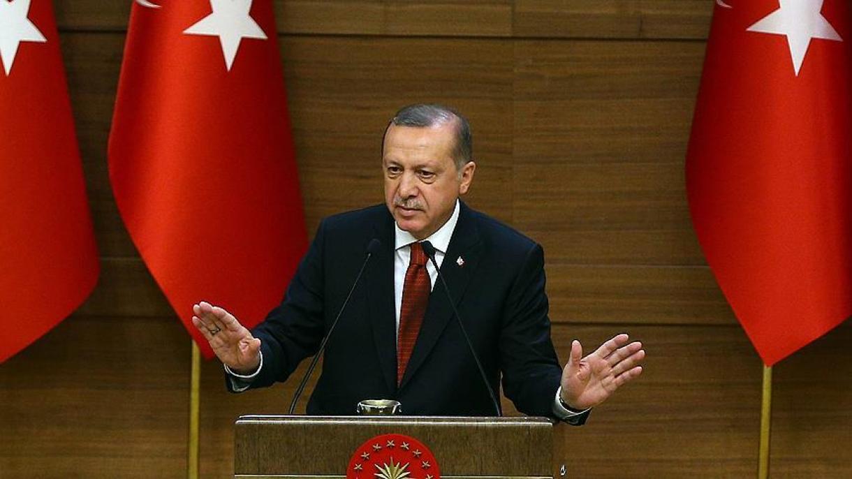 Prezident Erdogan arçynlar bilen duşuşdy