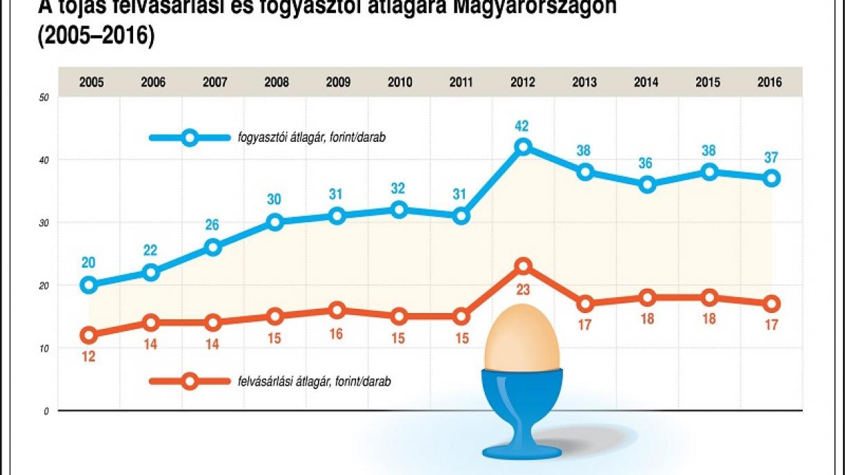 Nébih: Magyarországra is érkezett fipronillal szennyezett tojás és tojástermék