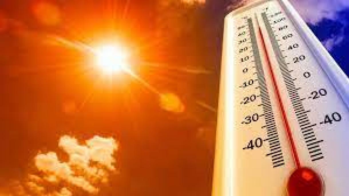 美国数百人死于热浪