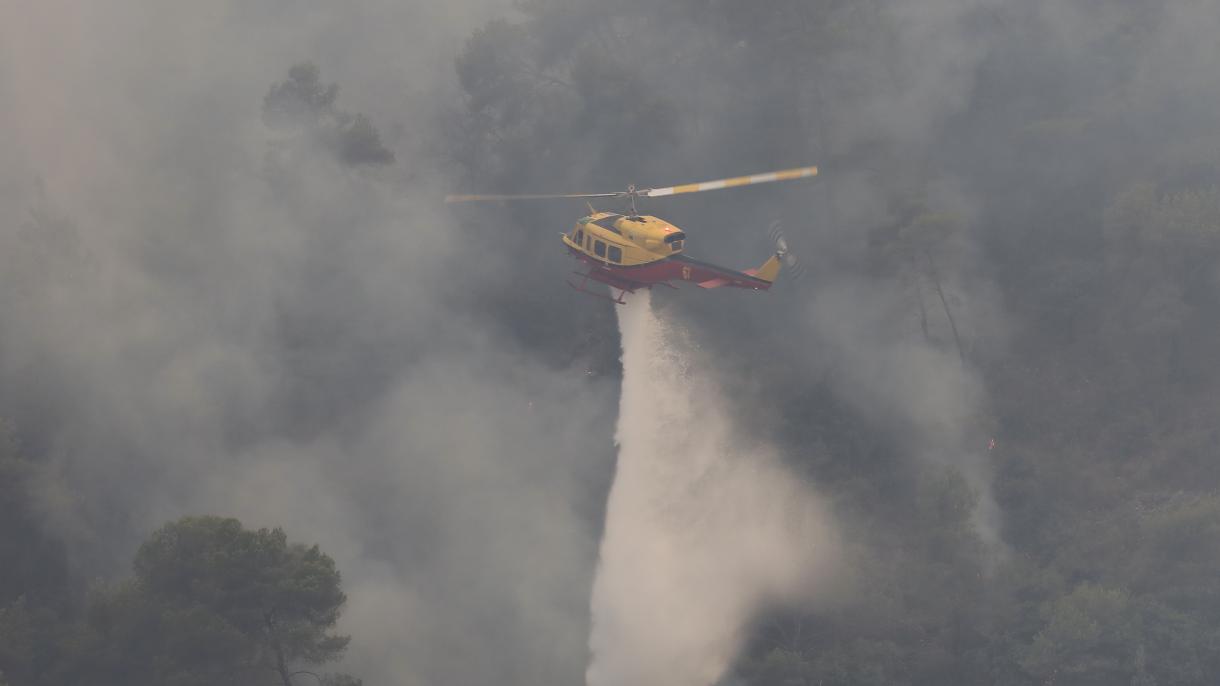 فرانس  میں لگنے والی آگ سے  جنگلات کو شدید نقصان پہنچا ہے