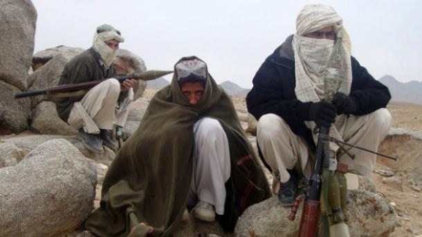 Ауған қауіпсіздік күштері Талибан мүшесі 12 террористті өлтірді