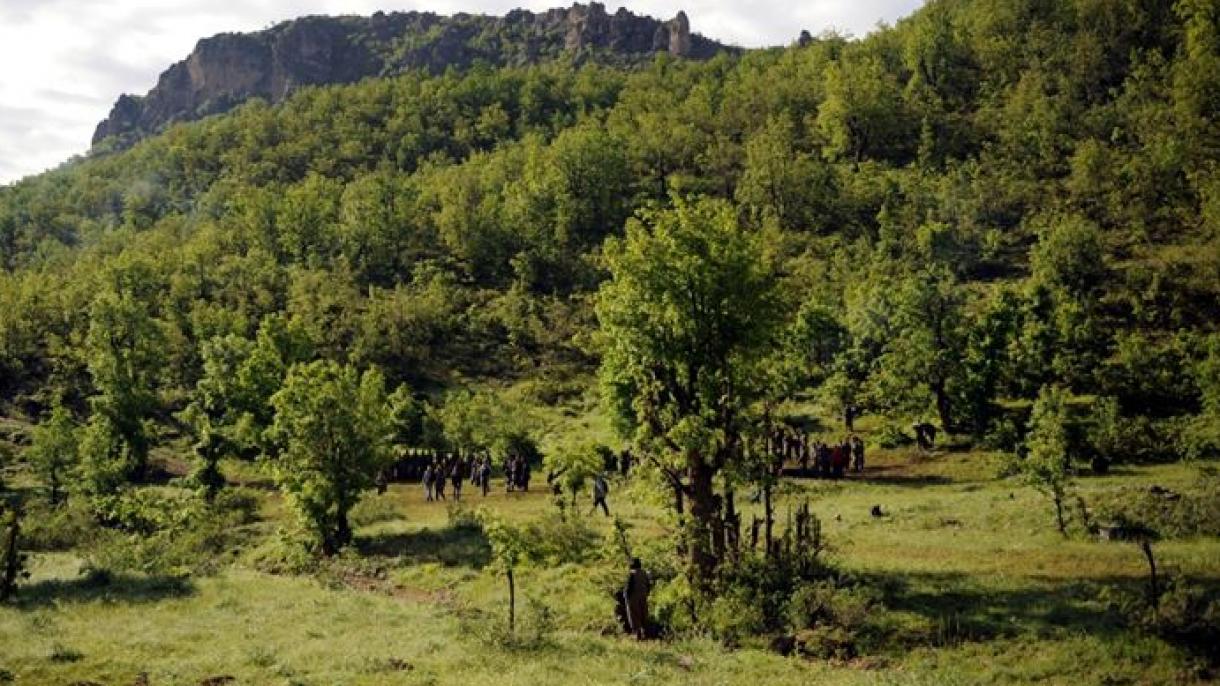 Feladta magát a PKK-vezető unokaöccse