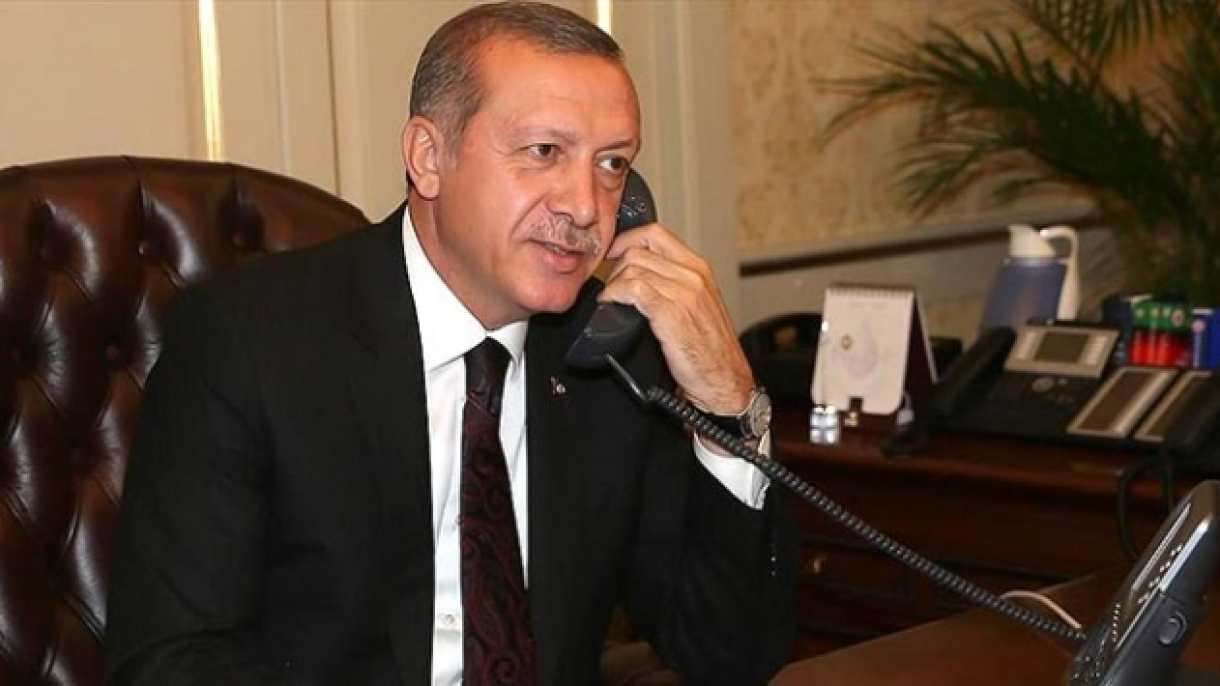 土耳其总统与八国领导人互祝宰牲节