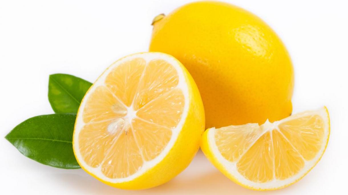 Түркиянын лимон экспорту
