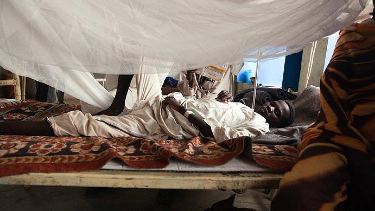Нигерияда безгектен сағат сайын 9 адам өлуде