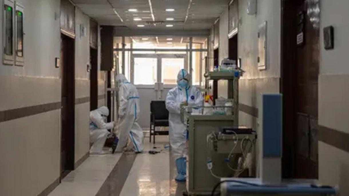 پاکستان میں کورونا  وائرس سے 24 گھنٹے کے دوران 39 اموات، 3499 نئے مریض رجسٹرڈ