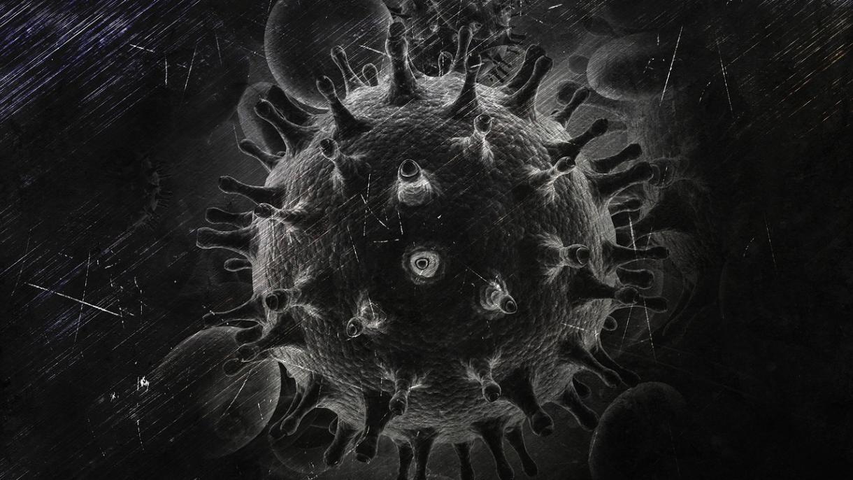 virus.jpg