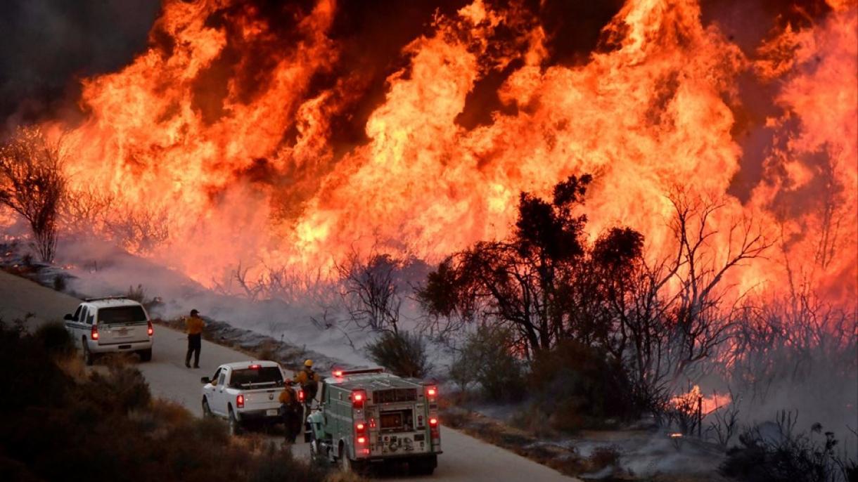 امریکہ: جنگل کی آگ تاحال قابو سے باہر