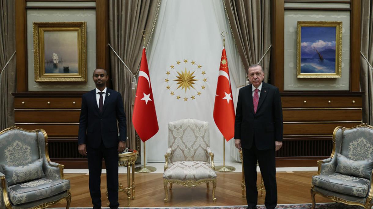 Türkiyә prezidenti Somali әdliyyә nazirini qәbul edib