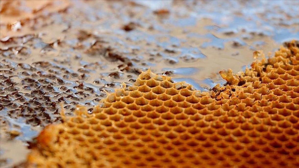 L'export di miele aumenta del 75%