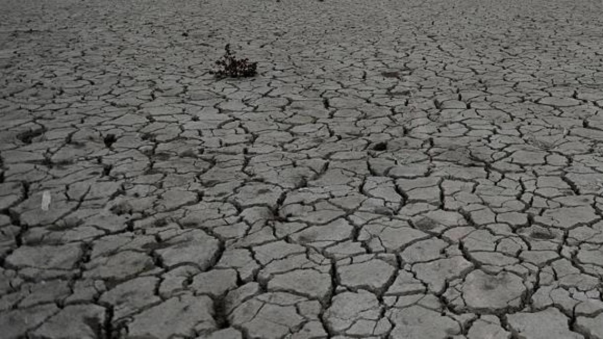 意大利宣布干旱灾区进入紧急状态