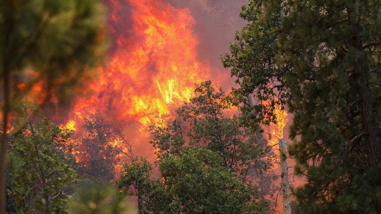 ده‌ها هزار هکتار زمین در آتش‌سوزی جنگل‌های ایتالیا و اسپانیا آسیب دید