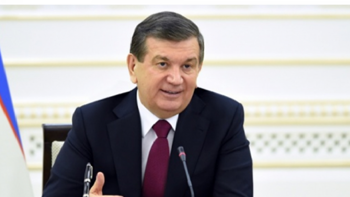 رئیس جمهور اوزبیکستان در سازمان ملل به زبان اوزبیکی صحبت کرد