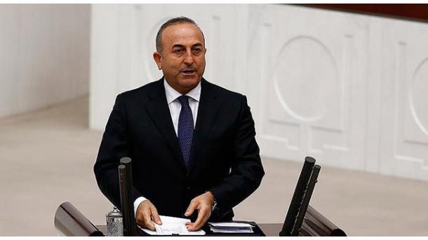 Çavuşoğlu - Kurts söyläşüe