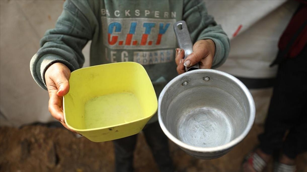 ONU: Gaza experimenta el porcentaje más alto de inseguridad alimentaria aguda jamás clasificado