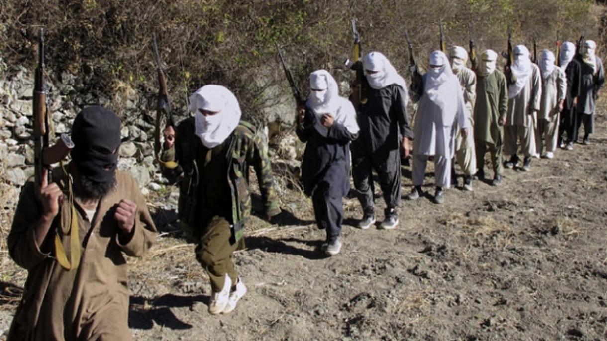 Owganystanda Talibana garşy operasiýa geçirildi
