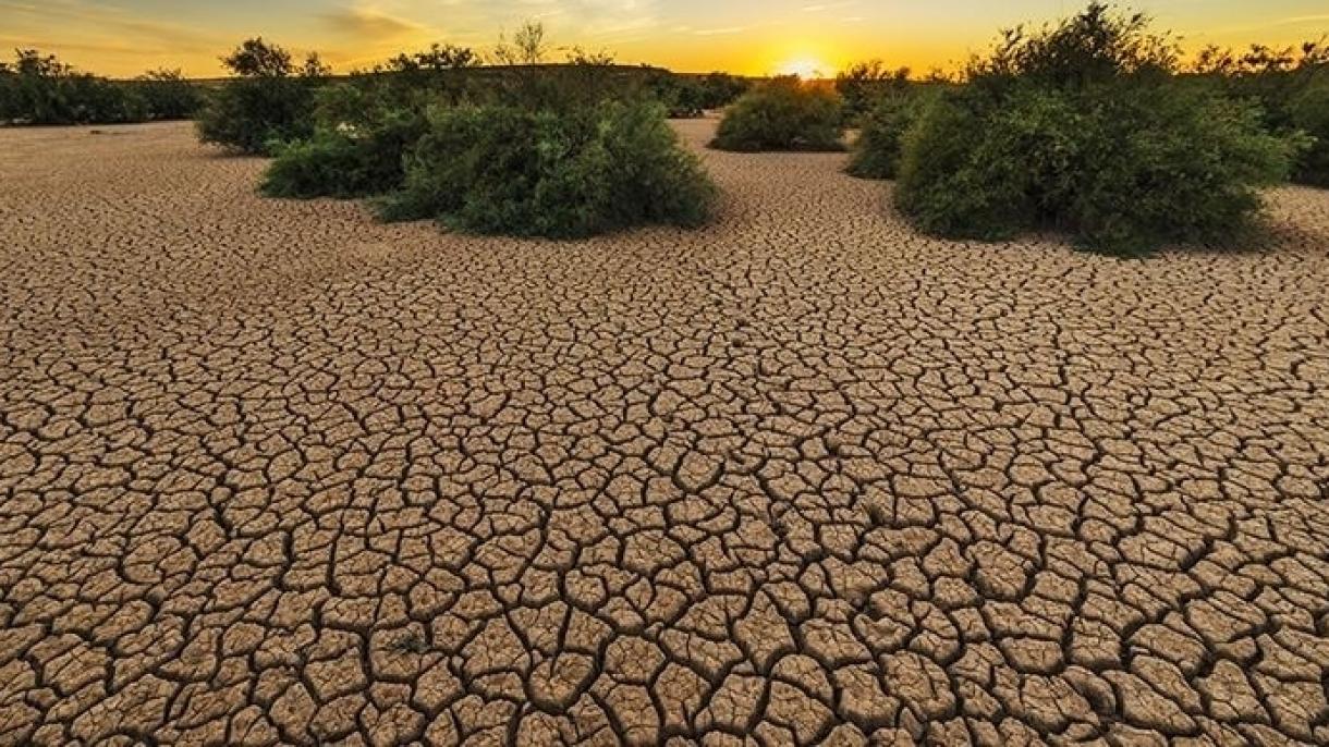 La sequía más grande de los 1200 años en el oeste de los EEUU