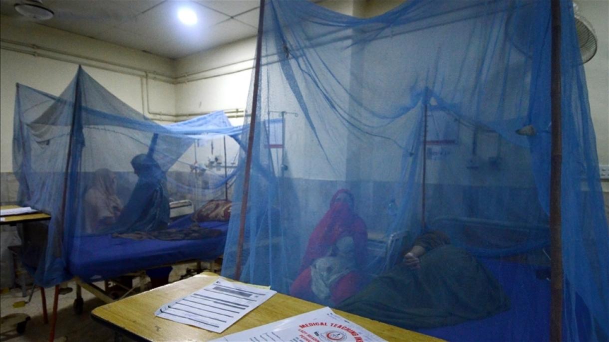 بنگلہ دیش میں گزشتہ 24 گھنٹوں کے دوران ڈینگی بخار سے مزید 11 افراد ہلاک