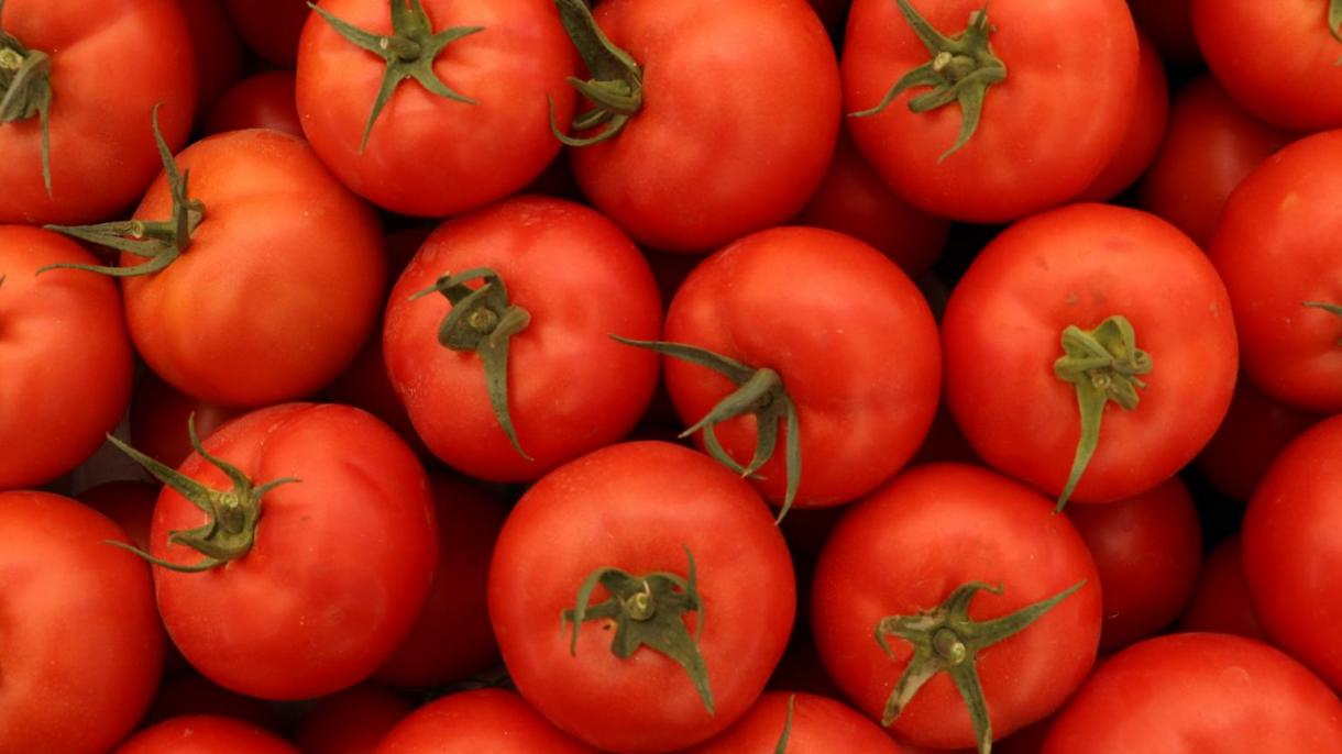 Türkiyeden dünýäniň 54 ýurduna pomidor eksport edildi