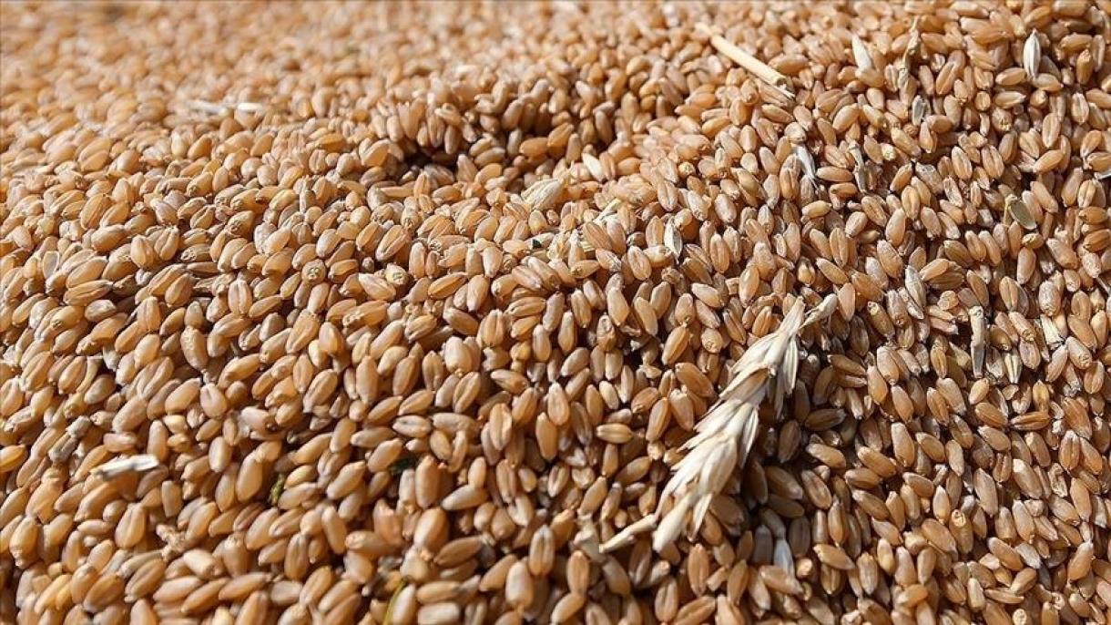 ارسال 10 هزار تن گندم از هند به افغانستان