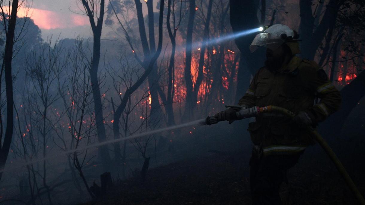 澳大利亚发生有史以来最严重的森林大火