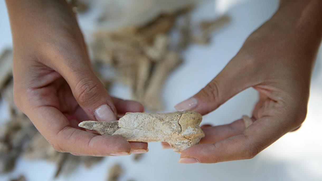 Investigan los hábitos alimenticios de los hititas en las ruinas de Sapinuva, Çorum