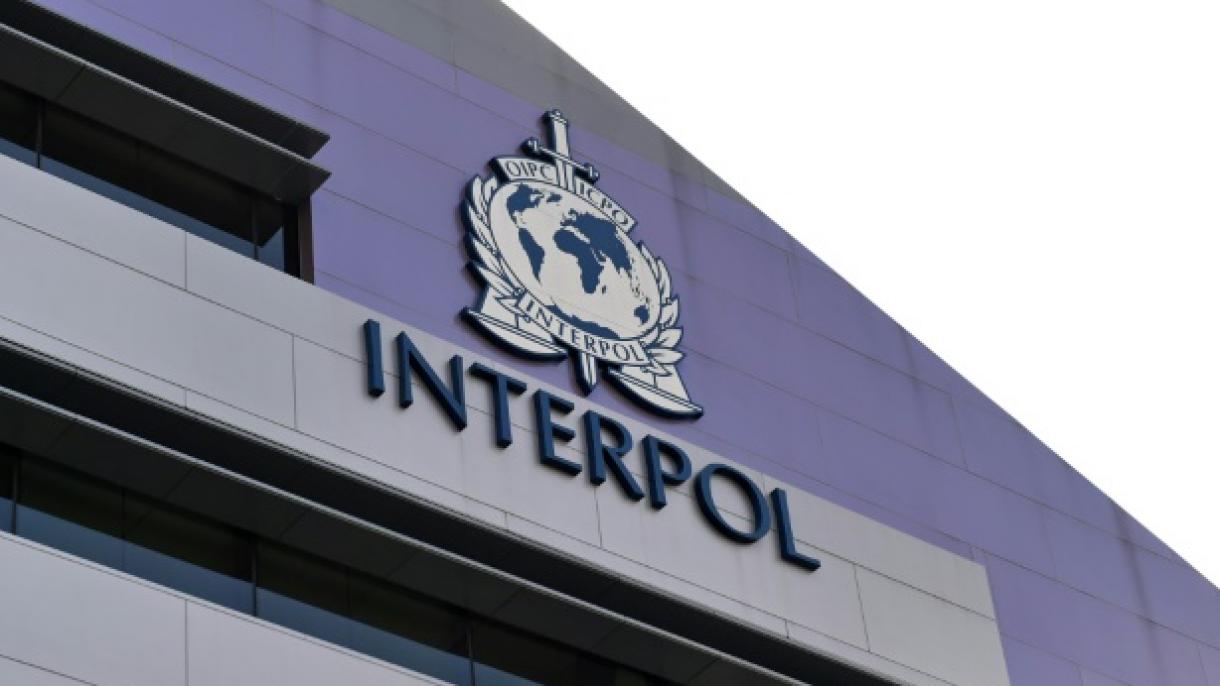 Interpol 93 ýurtda 56 tonnadan gowrak neşe maddasyny ele saldy