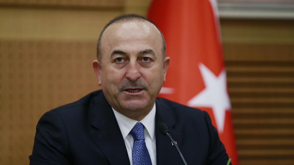 Mövlud Çavuşoğlu:"Siz nasistsiniz" demədik, "qərar nasist dövrünü xatırladır" dedik"