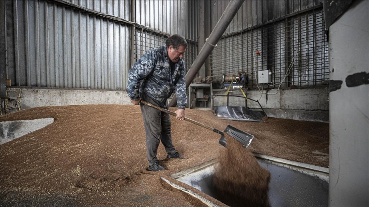 Transportan 30 millones de toneladas de cereales gracias al Acuerdo de Granos del Mar Negro