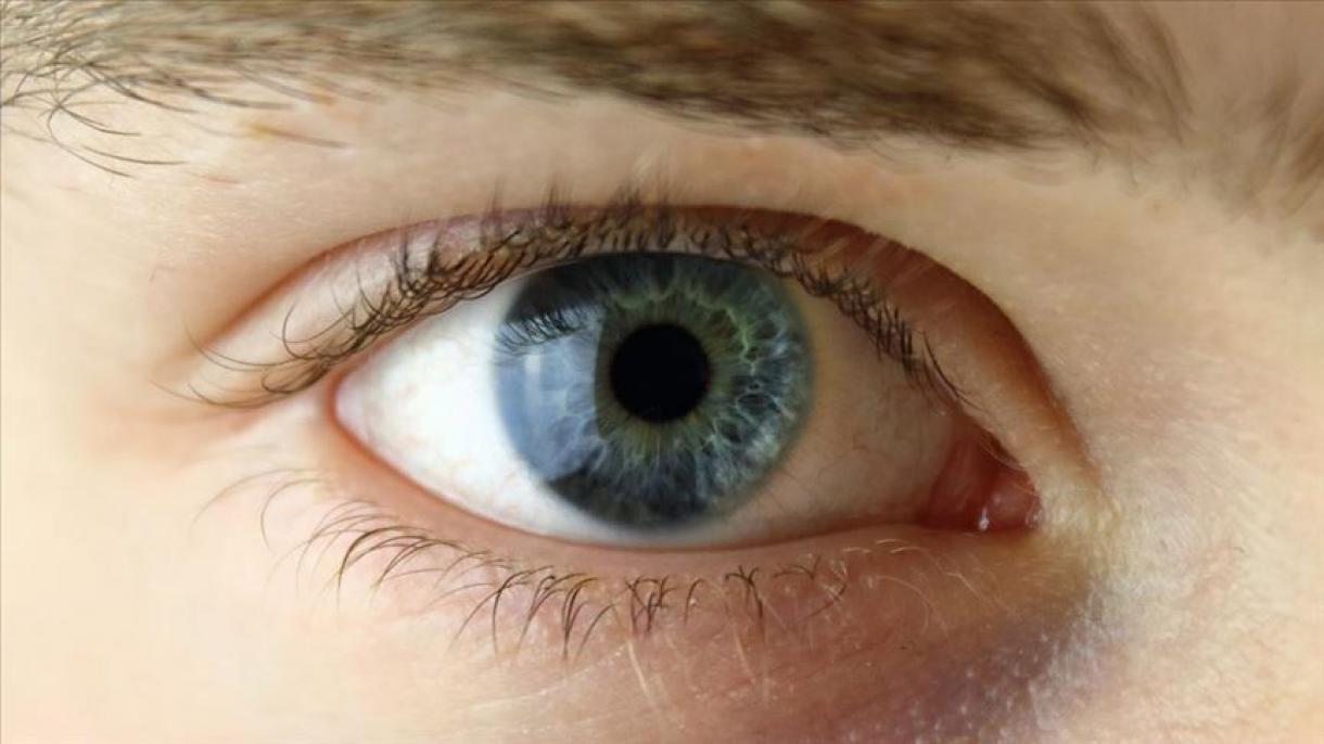 Sguardi curiosi - La retina prodotta nello spazio potrebbe curare la cecità