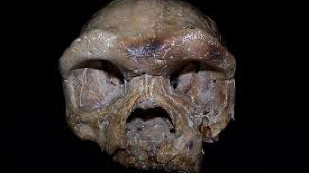 ჩინეთში 260 ათასი წლის წინანდელი თავის ქალა აღმოაჩინეს