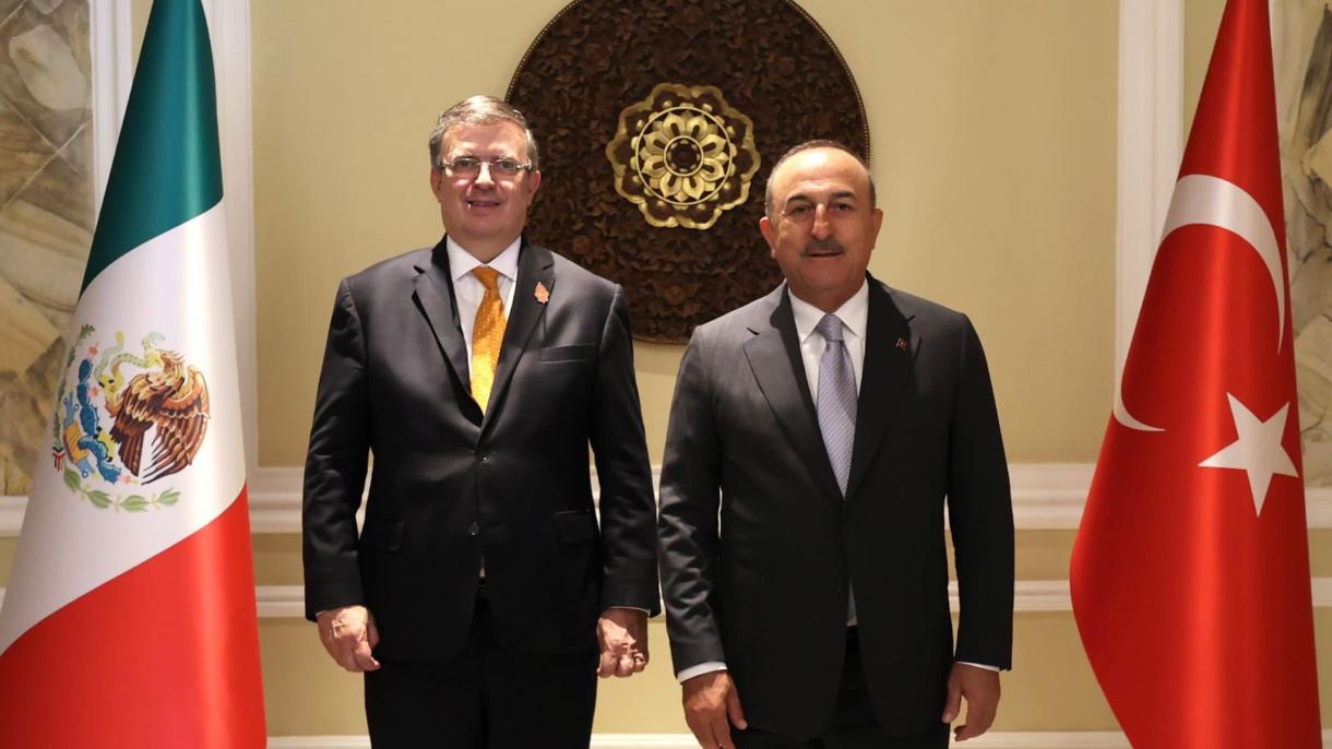 دیدار و گفت‌وگوی وزیران خارجه ترکیه و مکزیک