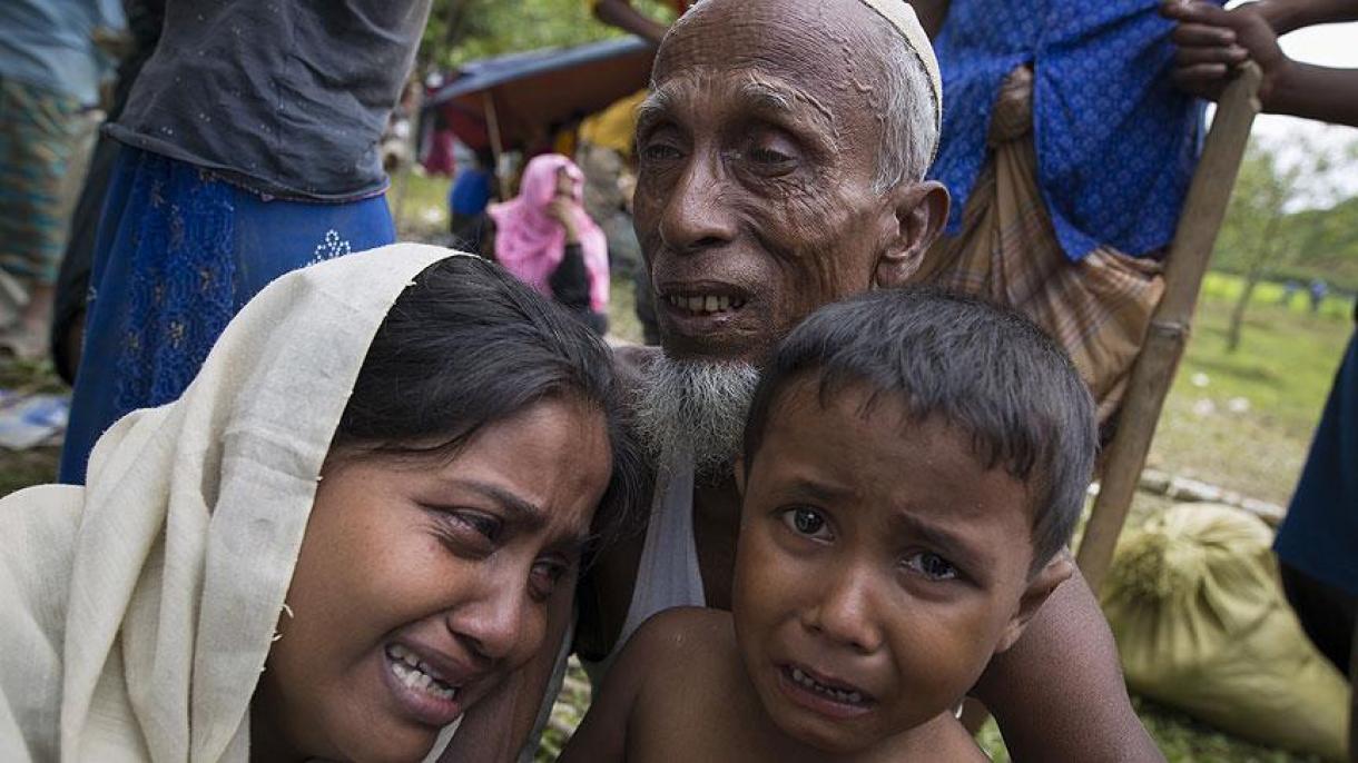 عالمی برادری روہنگیا مسلمانوں کی نسل کشی بند کرائے:بنگلہ دیش