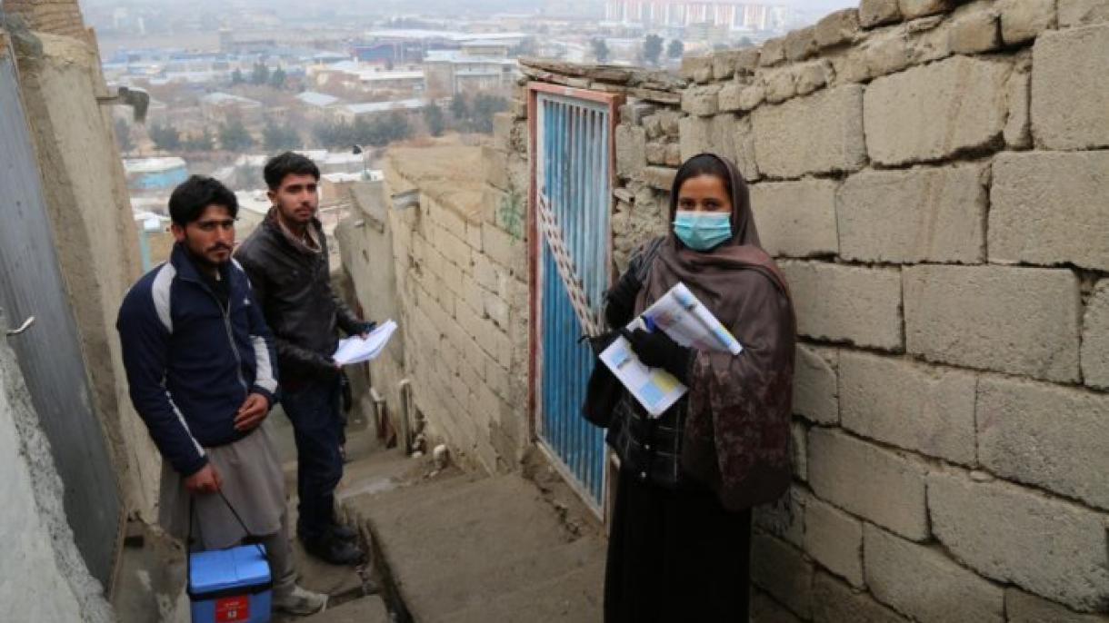 4 واکسیناتور درولایت ننگرهار افغانستان توسط افراد مسلح ناشناس کشته شدند