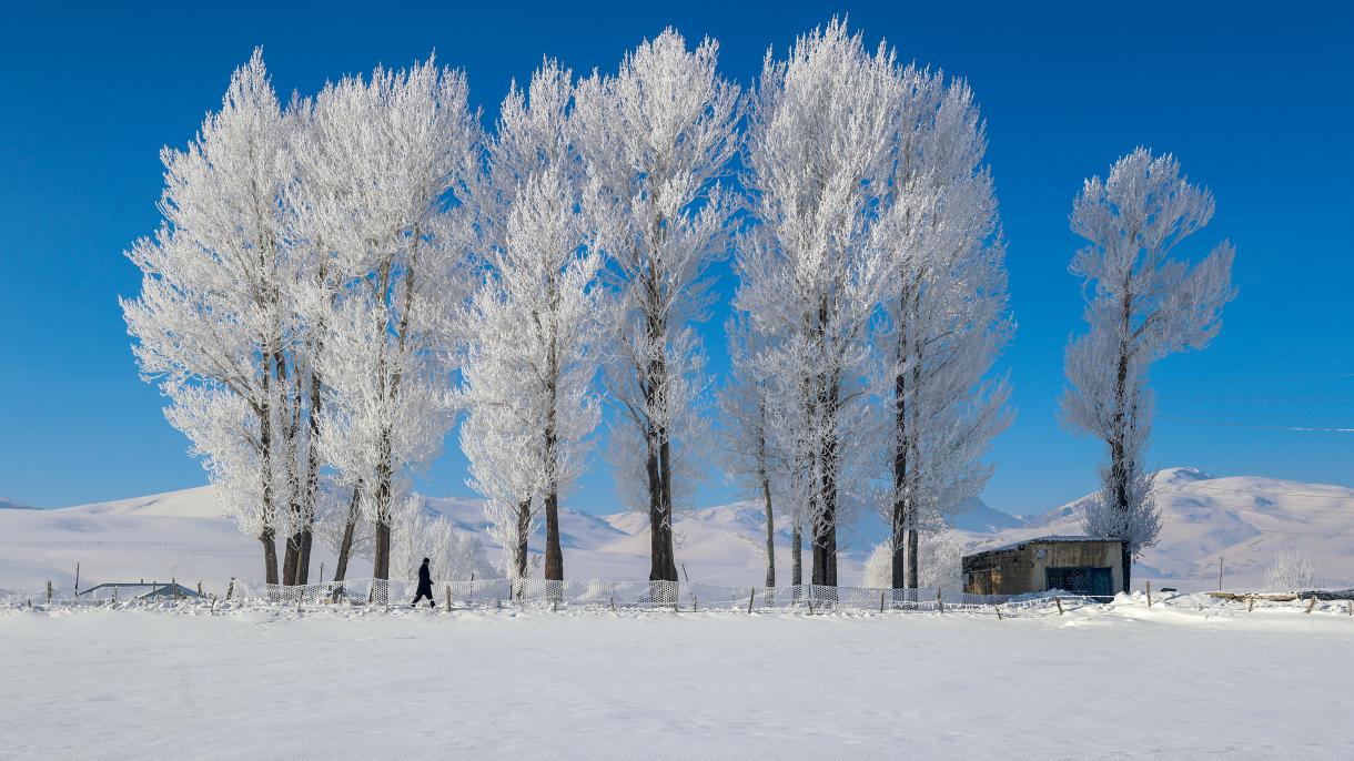 Turska: Snijeg i inje stvorili prekrasan zimski krajolik u Vanu (FOTO)