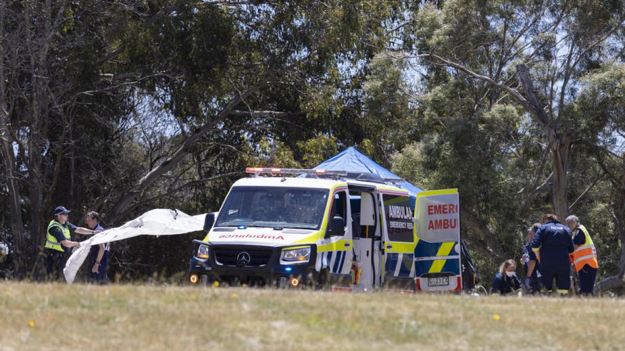 澳大利亚“充气城堡”事故导致的死亡儿童升至6人