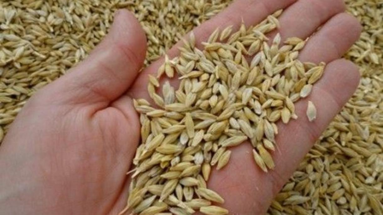 中国暂停澳洲最大粮食出口商对华出口大麦