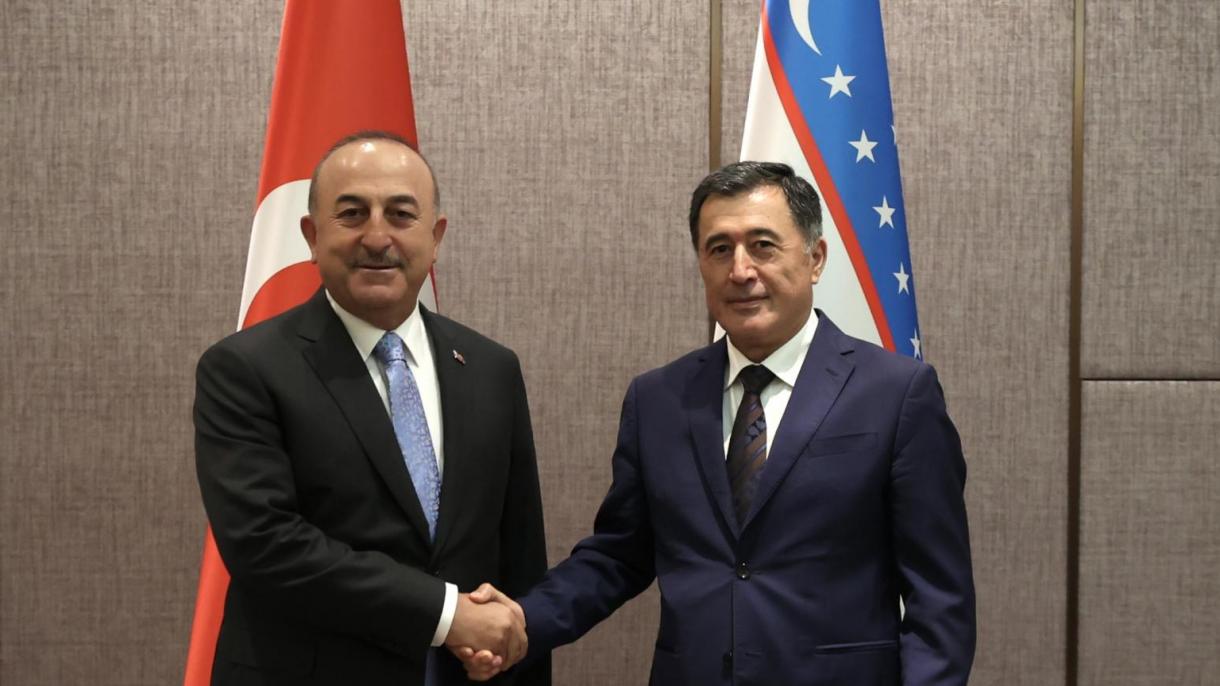 وزیر خارجہ  میولود  چاوش اولو کی  ازبکستان کے نائب وزیر خارجہ ولادیمیر ناروف سے  ملاقات